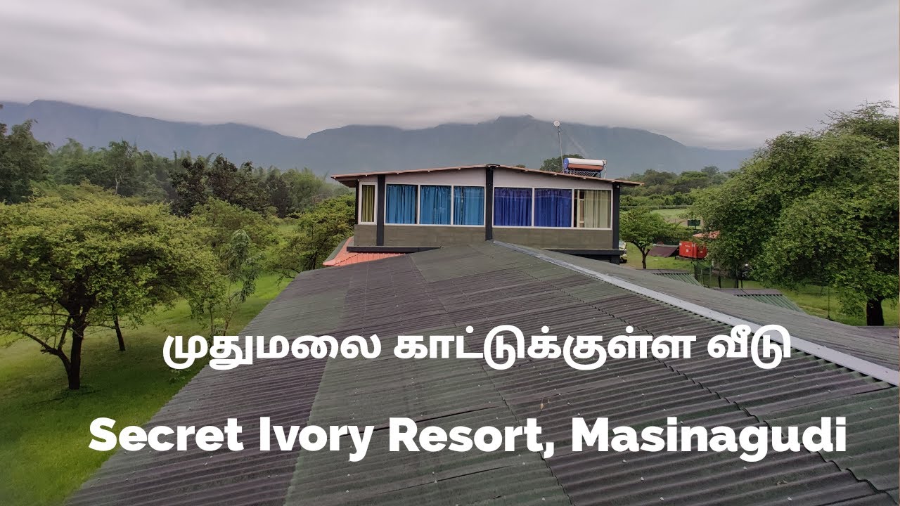 Secret Ivory Resort | Masinagudi (Ooty) | Mudumalai Forest 