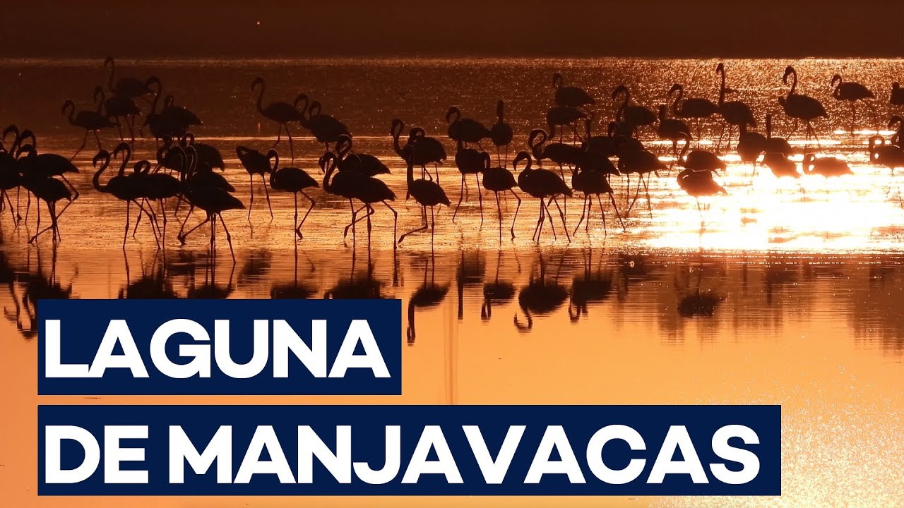 ¿Conoces la Laguna de Manjavacas?