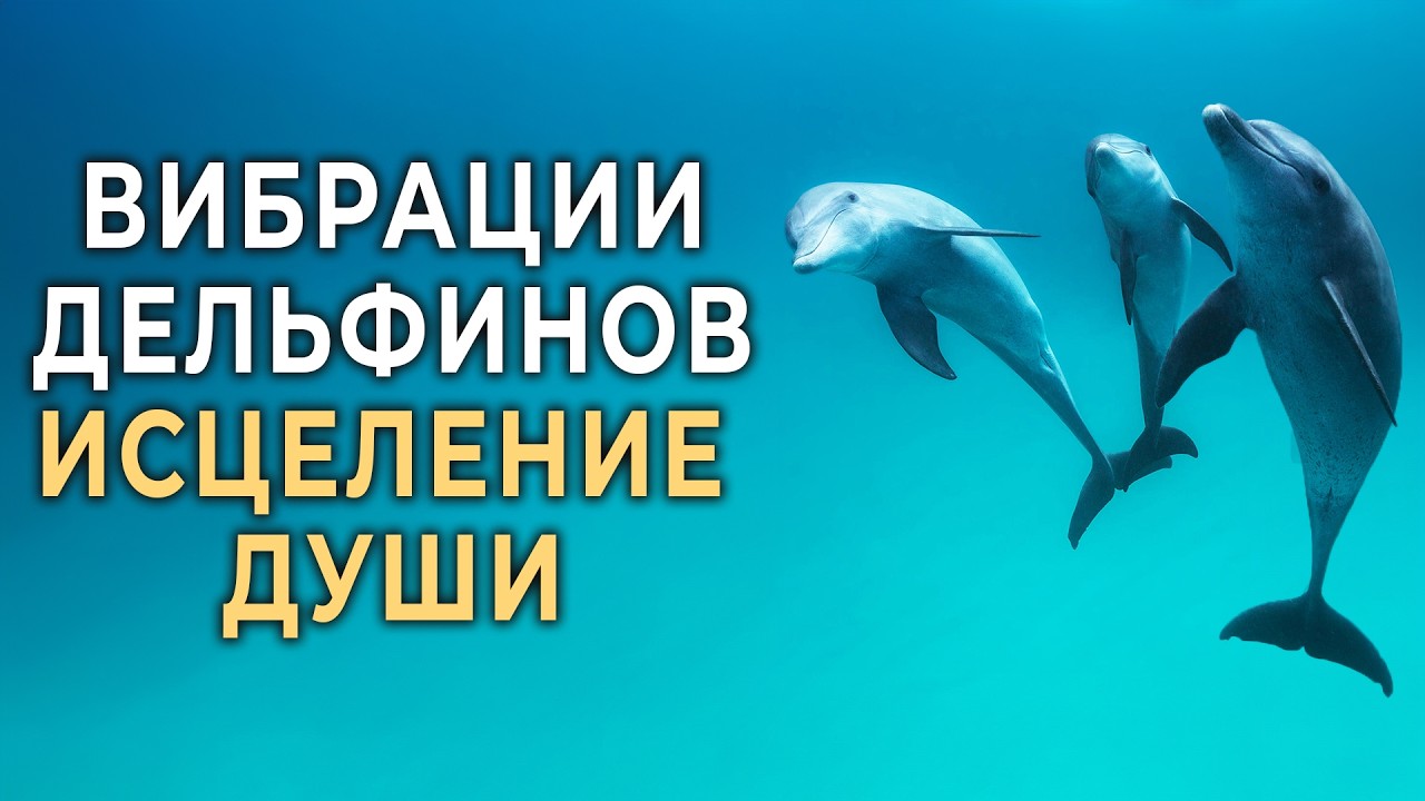 Вибрации Дельфинов + Музыка для Глубокого Расслабления, Исцеления, Умиротворения и Восстановления 🐬🐬