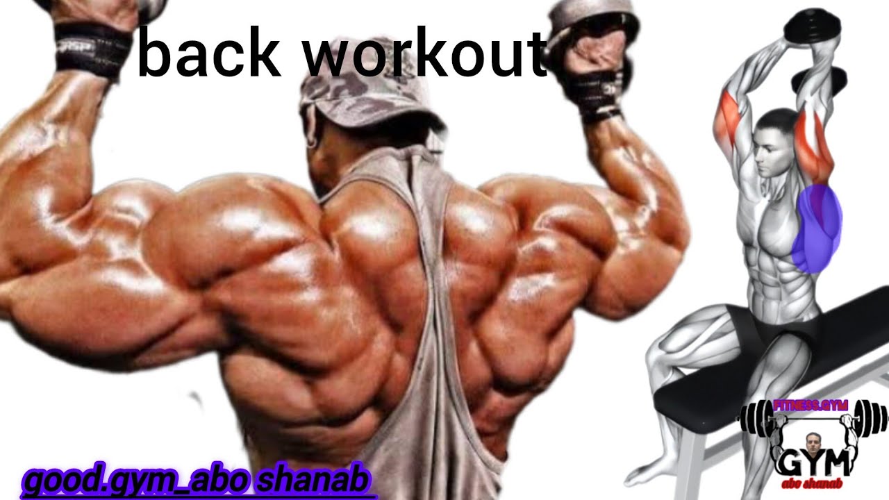 How to build a wide and bigger back muscle _back workout gym 🔥