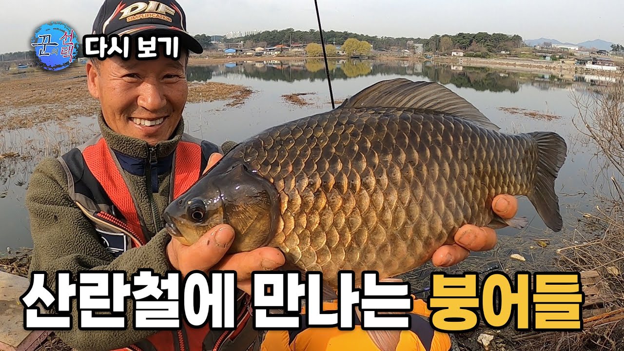 [다시 보기] FTV 꾼의 선택 - 산란철에 만나는 붕어들 (2024.05.06.방송)