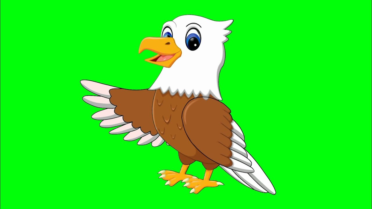Cheel in green screen/Green screen video