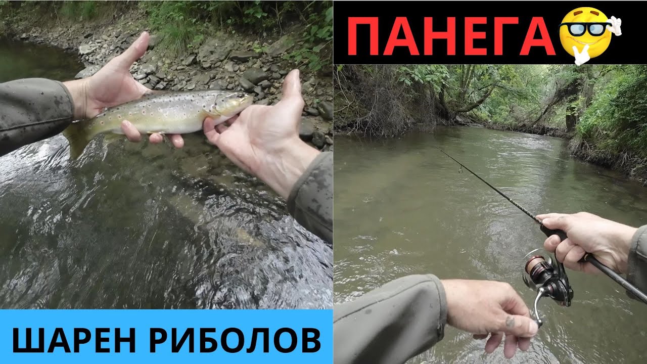ШАРЕН РИБОЛОВ ПО ПАНЕГА
