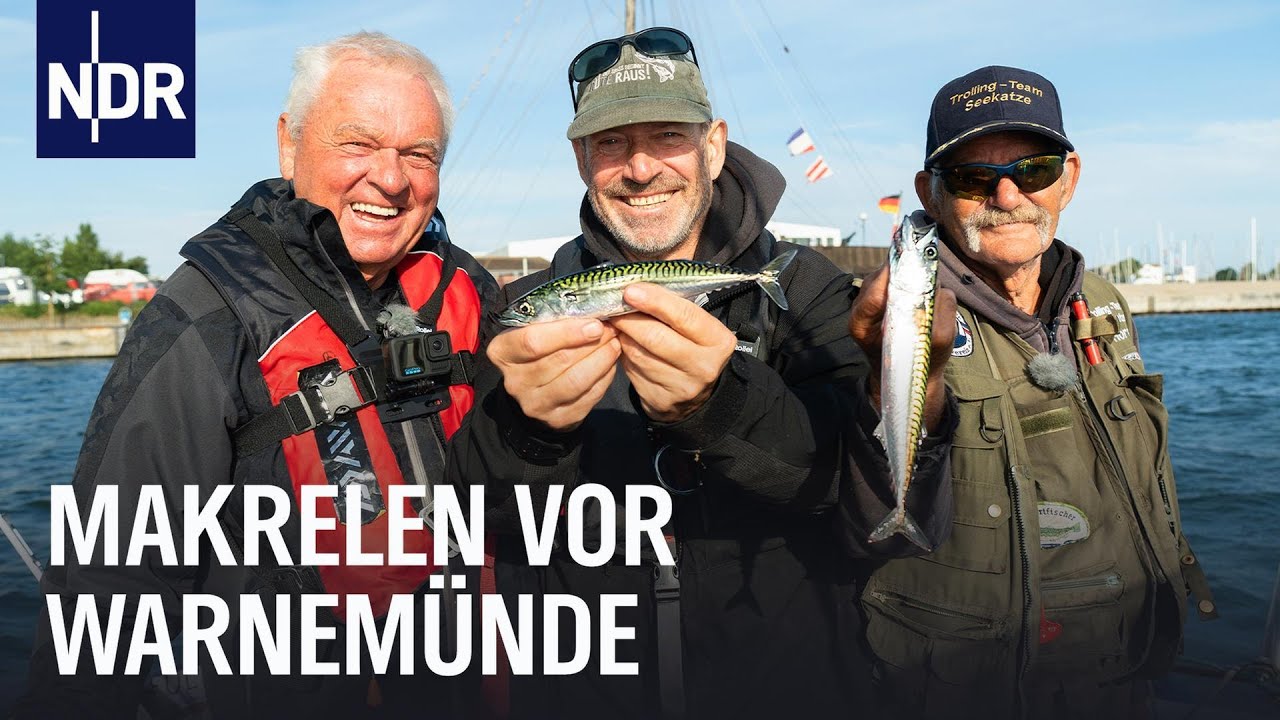 So geht Makrelen-Angeln | Rute raus, der Spaß beginnt! – Videopodcast | NDR Doku