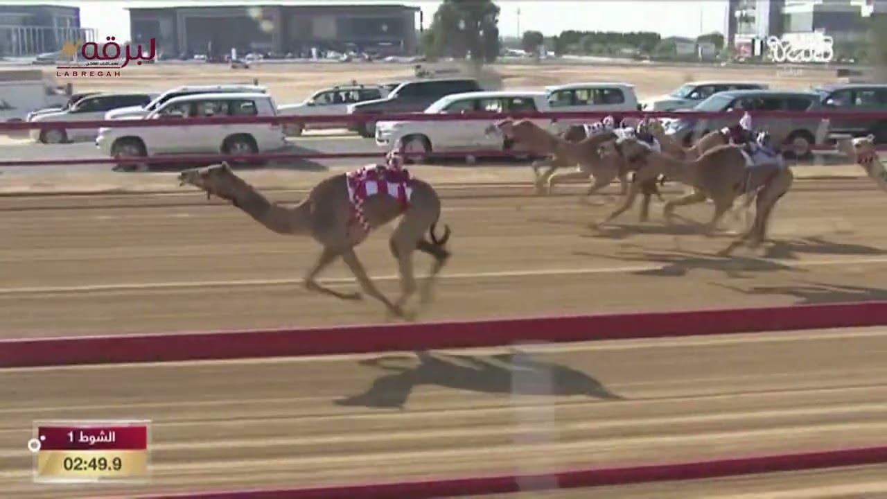 ش1 مذيار لـ نشمي حمد متعب العامري (مهرجان سمو الشيخ محمد بن زايد آل نهيان) 2-1-2023 كأس الحقايق بكار