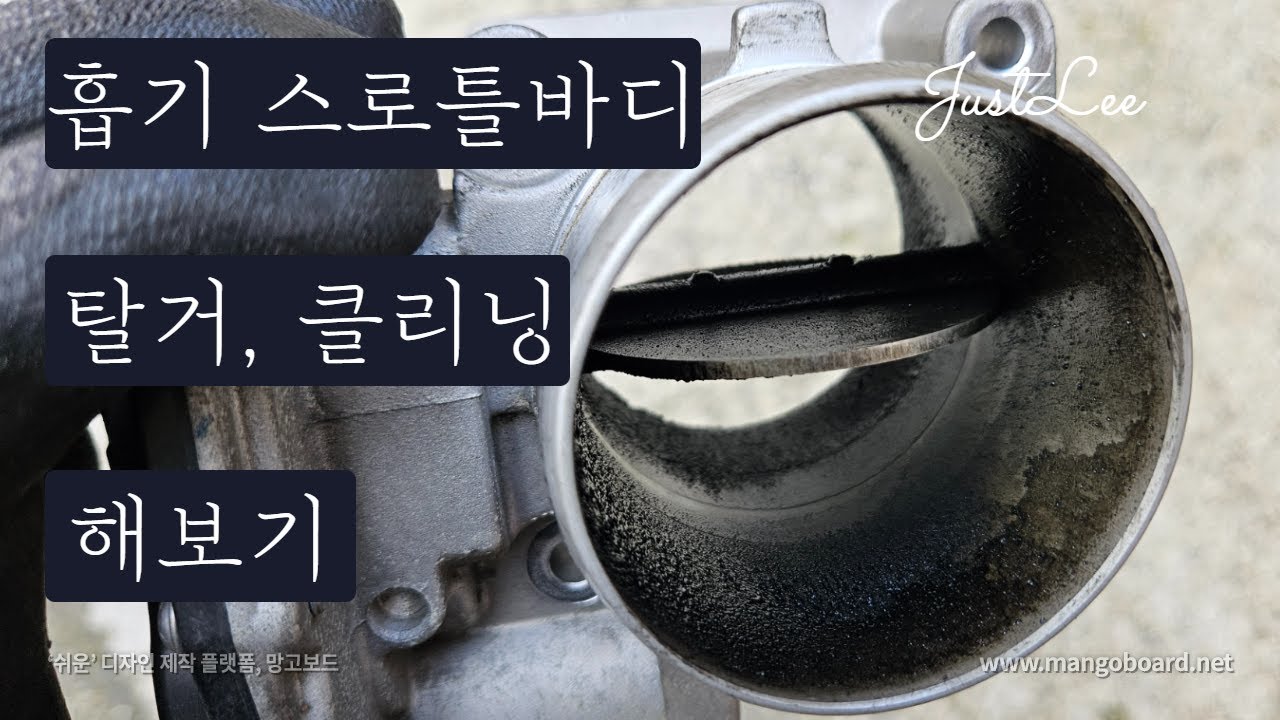 스로틀바디(밸브) DIY 자가정비로 클리닝하기. 현대기아 디젤 R엔진 흡기 클리닝은 필수라던데 내차 상태는 어떤지 확인해보자