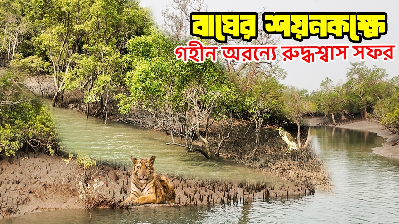 রহস্যময় সুন্দরবন: বাঘের ডেরায় |  Adventure in the World's Largest Delta sundarban Jungle Safari 2026