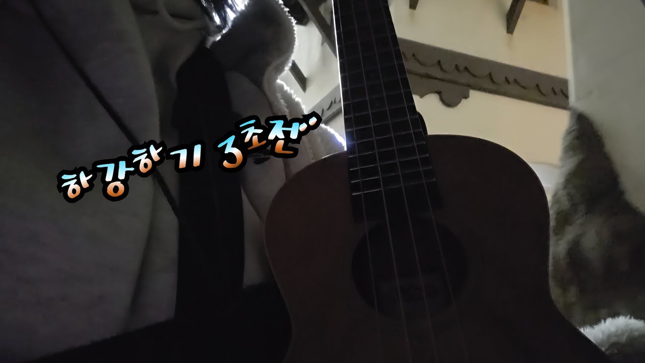 우쿨탕탕 랄라의 하루 Ep.22 - 랄라 우쿨생에 첫 롯데월드 나들이🎢