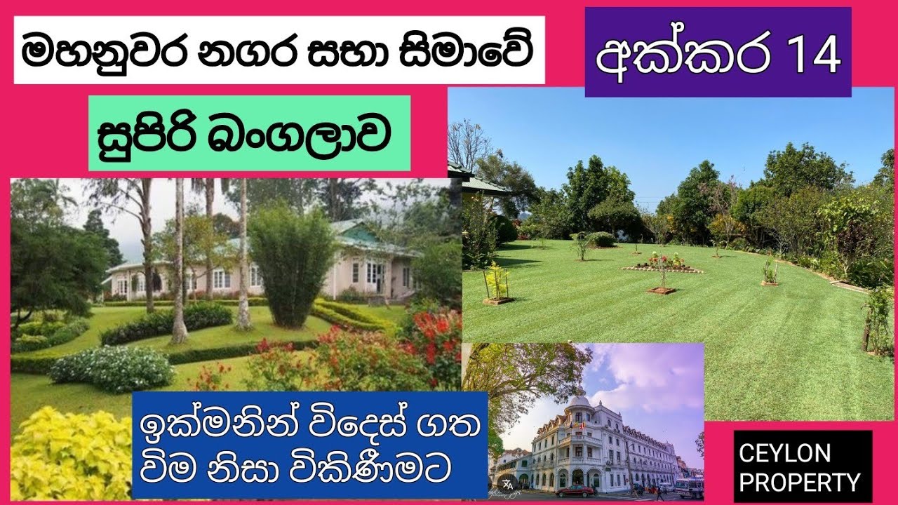 NO,,964 # මහනුවර නගර සභා සිමාවේ නුවර ලස්සනට පෙනෙන තැනකින් අක්කර 14,බංගලාවක් ,සින්නක්කර ,විකිණීමට 