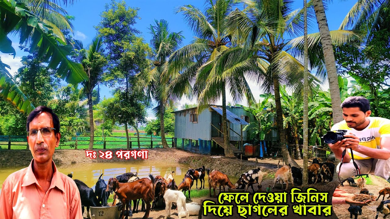 NEW GOAT FARM 2023|| দক্ষিণ 24 পরগনার মধ্যে এক শিক্ষক ছাগল পালন শুরু করলেন || Low cost goat rearing