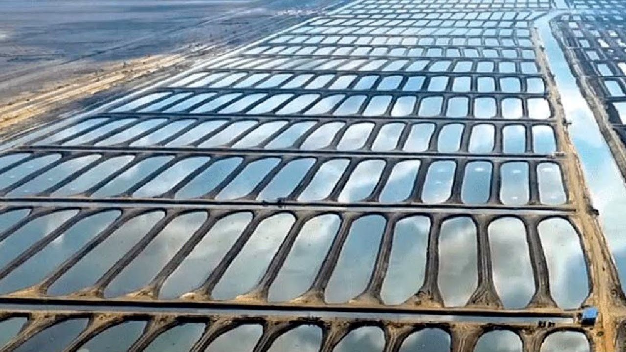 Как Китай устойчиво становится крупнейшим в мире производителем рыбы в пустыне Гоби