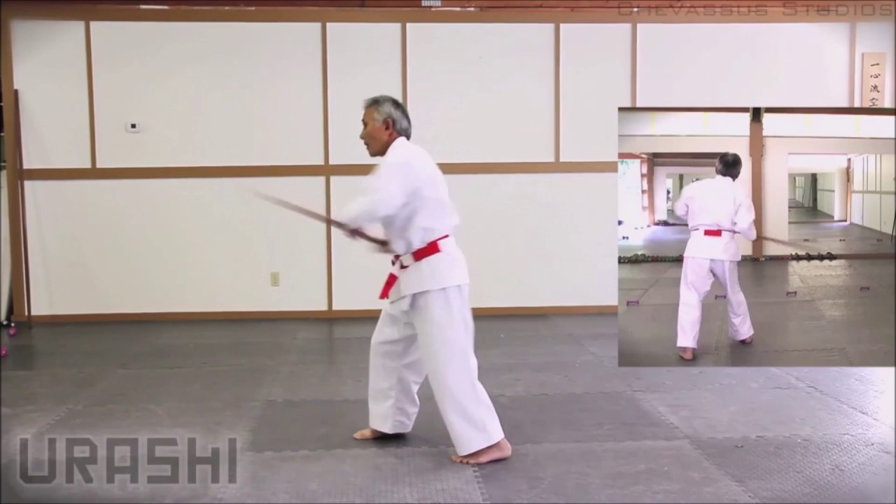 ISSHINRYU URASHI NO KUN