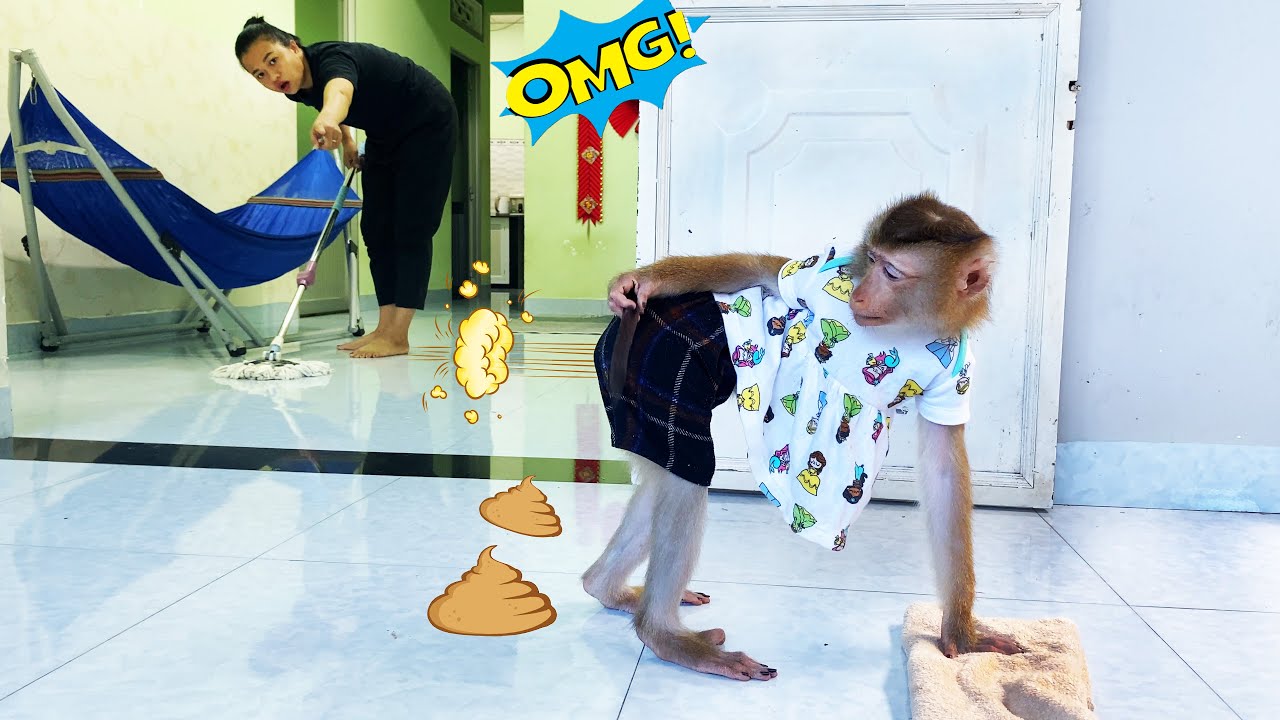 Monkey Lyly pooped everywhere while trying to help her mother clean the floor.