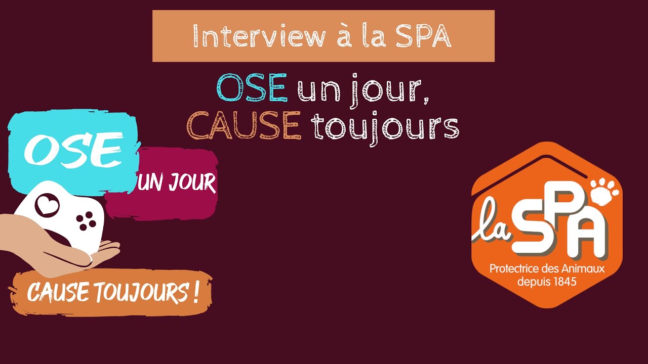 Ose Un Jour - Interview au refuge de la SPA Gennevilliers (Rediffusion)