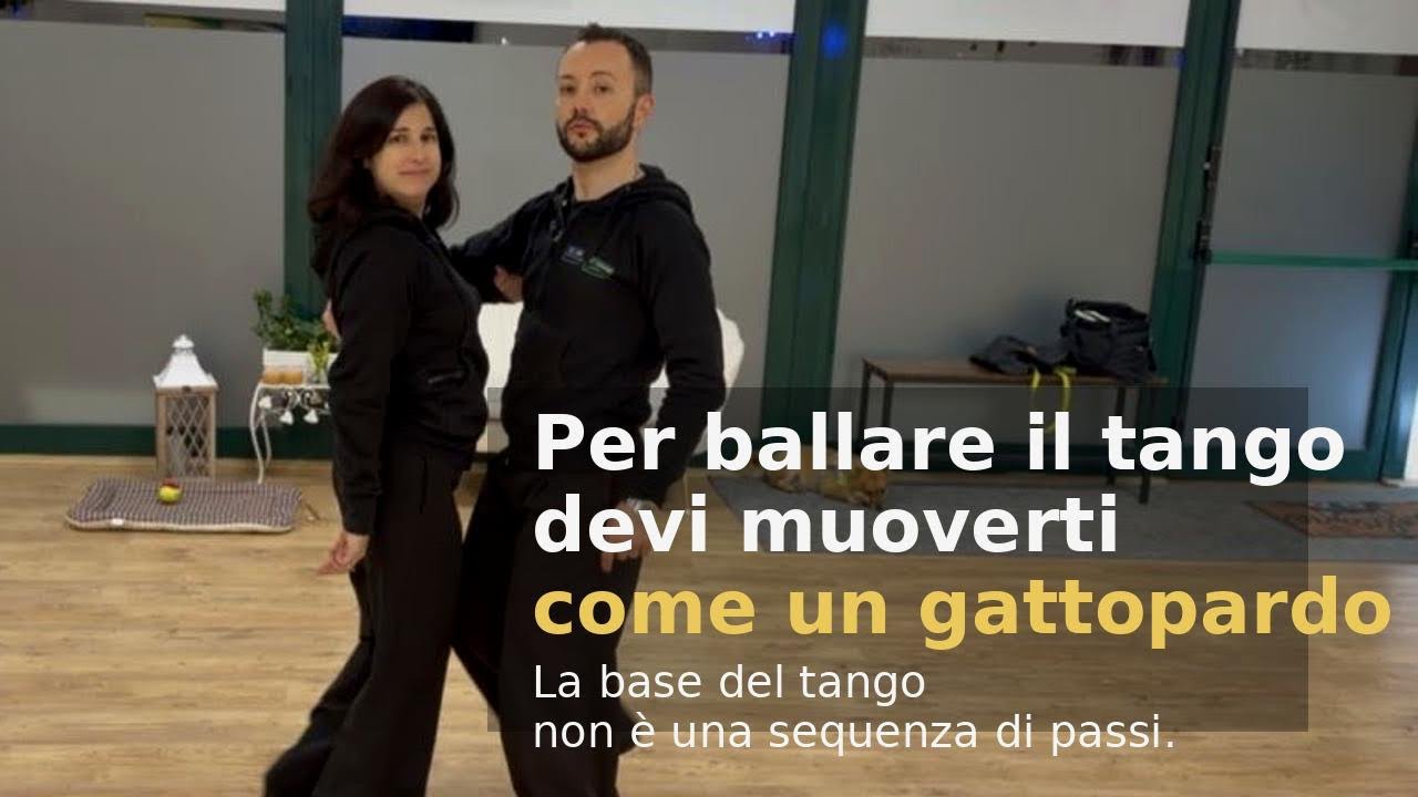 Per ballare il tango devi muoverti come un gattopardo