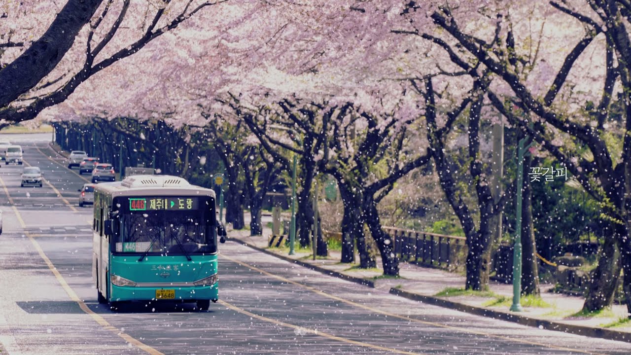 [Playlist] 너를 기다리던 봄, 첫사랑의 기억을 닮은 피아노 연주곡 모음