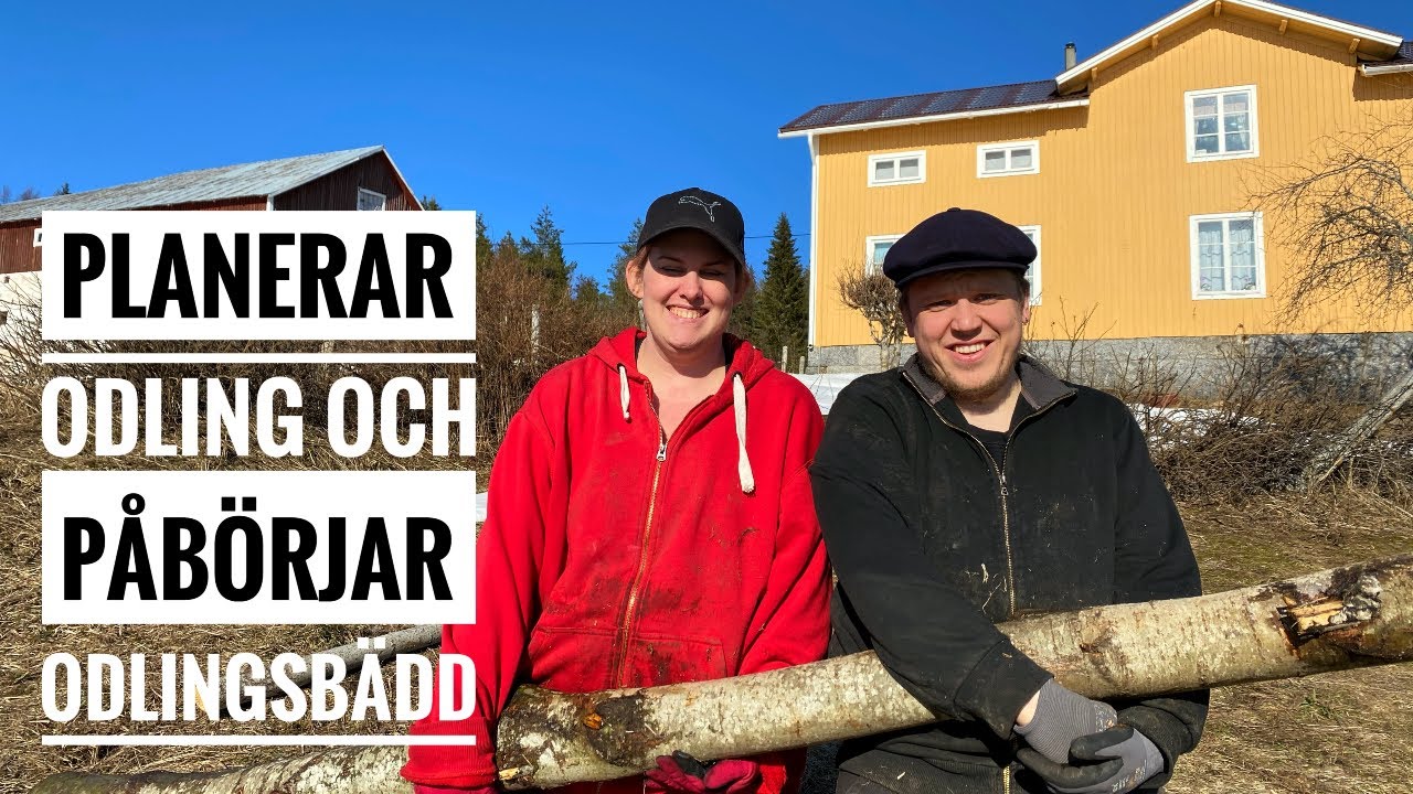 Planerar odling och påbörjar odlingsbädd