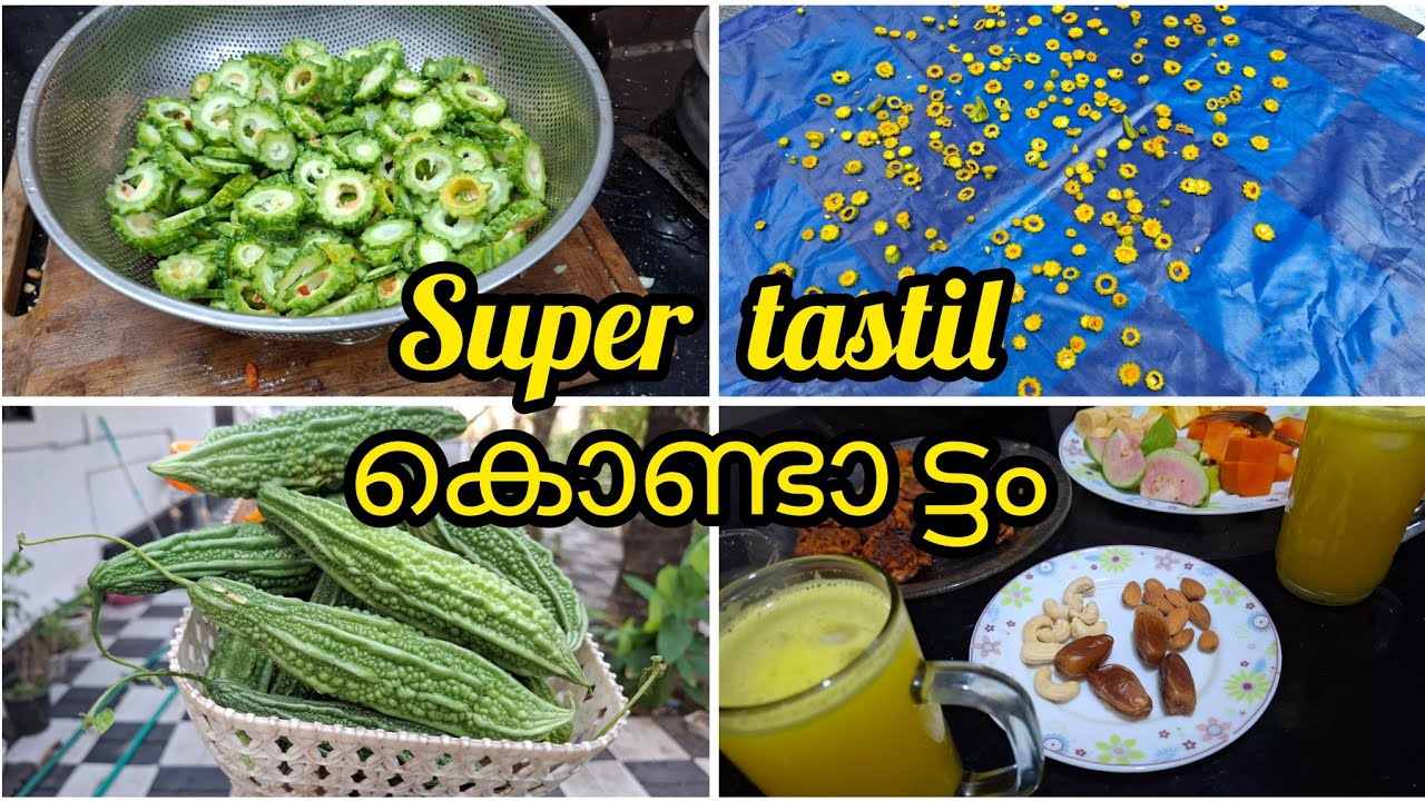 പാവക്ക വിളവെടുതു  super  കൊണ്ടാ ട്ടം/ garden/കൃഷി/വിളവെടുപ്പ് 