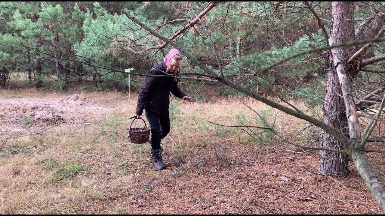 Я снимаюсь, а время уходит | В лес за грибами на Черниговщине.