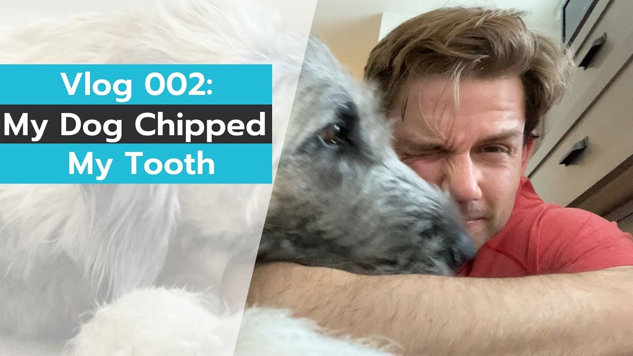 Vlog 002 | My Dog Chipped My Tooth | Dr Mike Herring