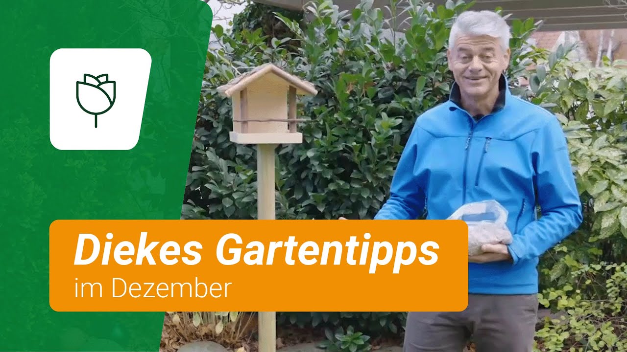 Diekes Gartentipps im Dezember