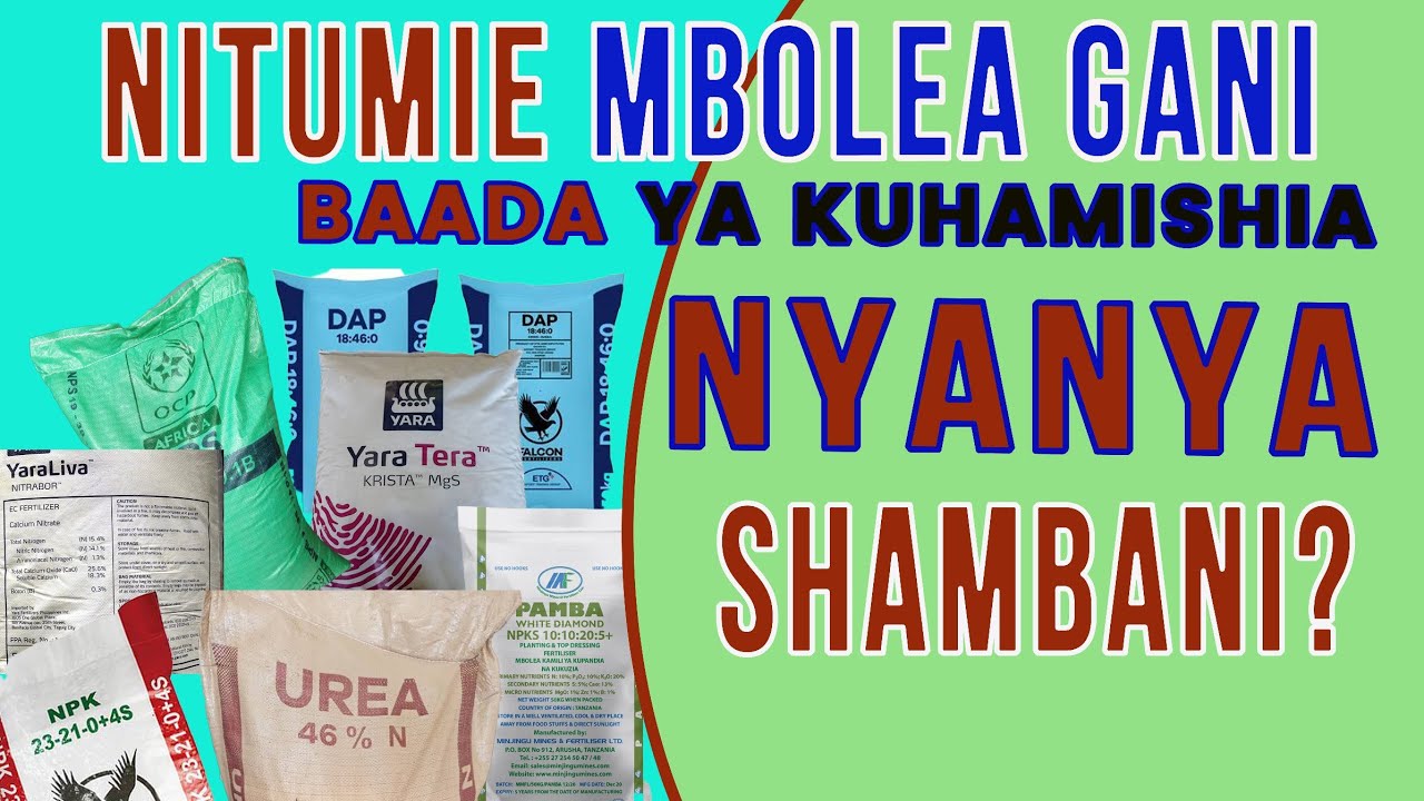 NITUMIE MBOLEA GANI BAADA YA KUHAMISHIA NYANYA SHAMBANI?