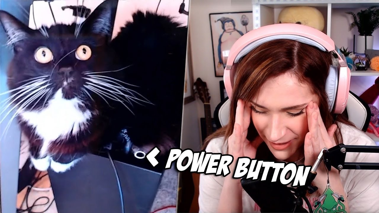 Risks of having a cat