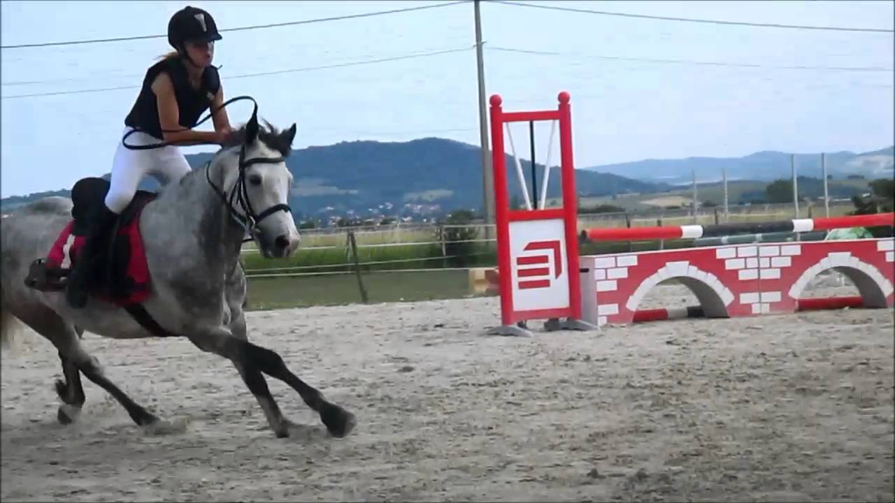 Bêtisier équestre (2015)