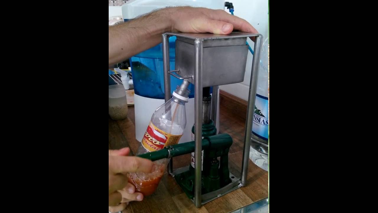 Como fazer sucos da terapia Gerson no Brasil -1