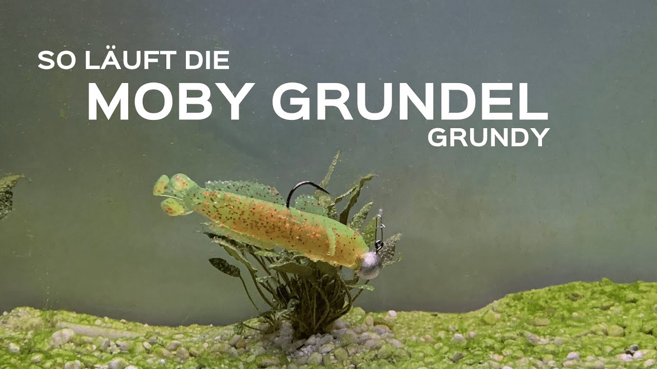 Die Grundel (Grundy) von Moby Softbaits - Gummifisch zum Angeln auf Zander und Barsch