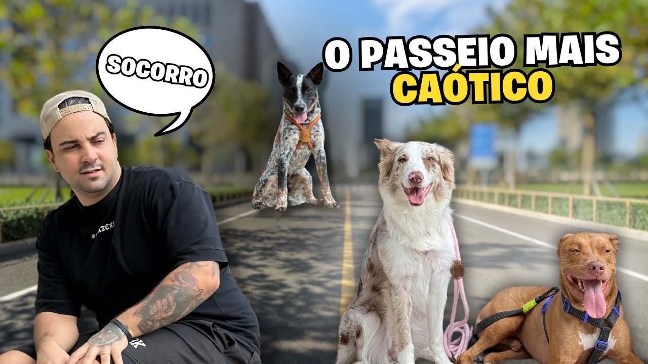 Nossa Rotina Tendo 3 Cachorros + Adaptação Do Bento | É Muito Difícil Passear Com Ele 😮‍💨