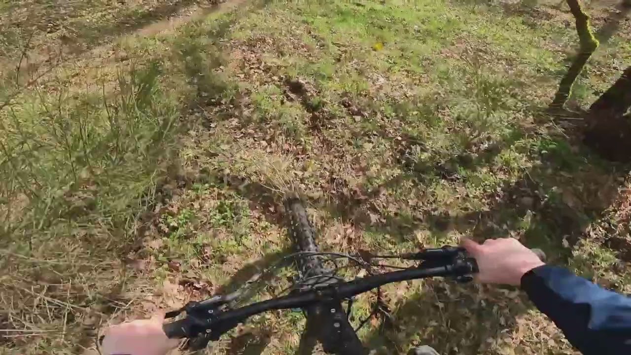 full lines freeride! with@EmilienFreeride    #mtb #freeride #jump