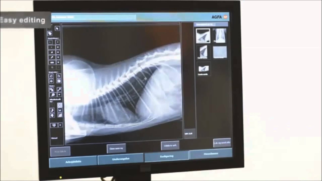 Network Vet Care - CR 10-X Agfa Healthcare HD