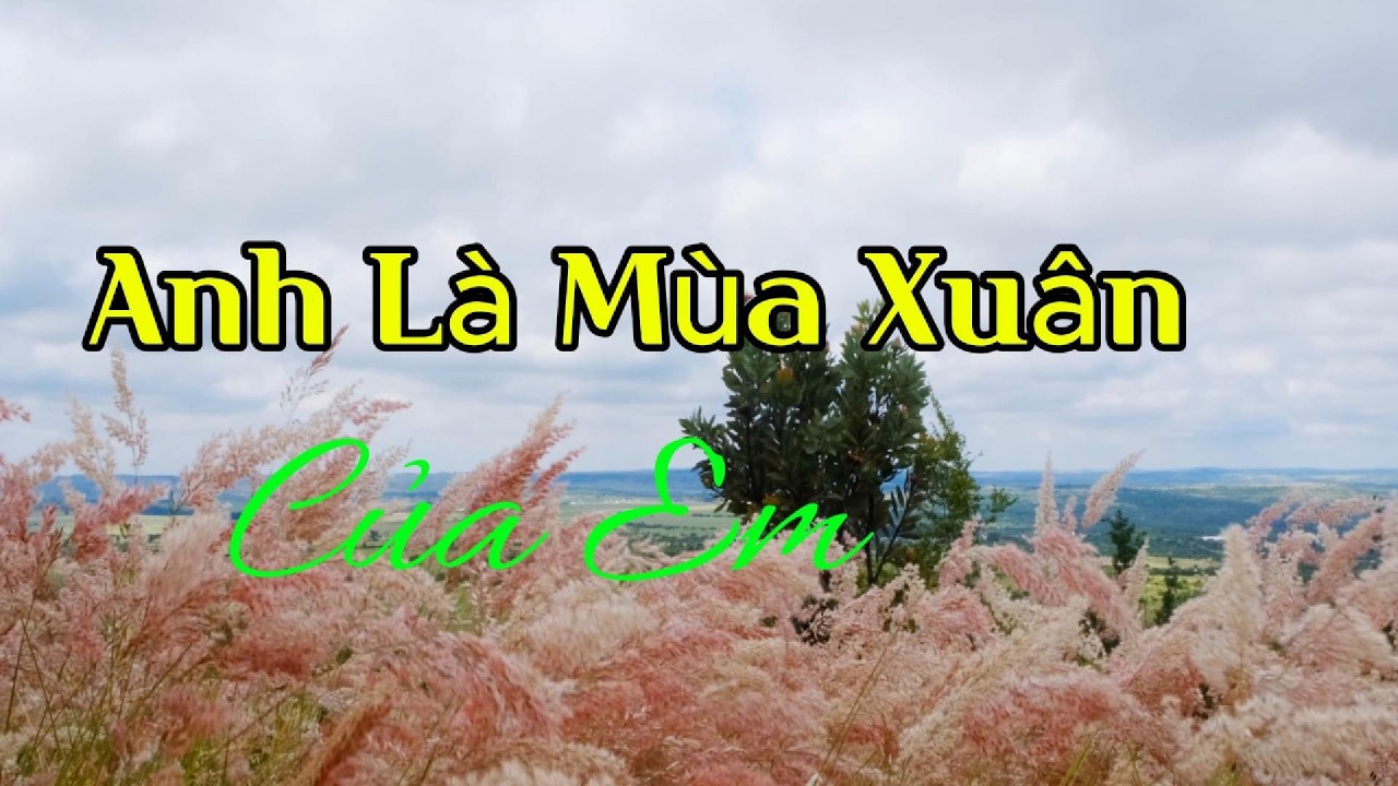 Anh Là Mùa Xuân Của Em  (BOSSA NOVA) (TONE NỮ)