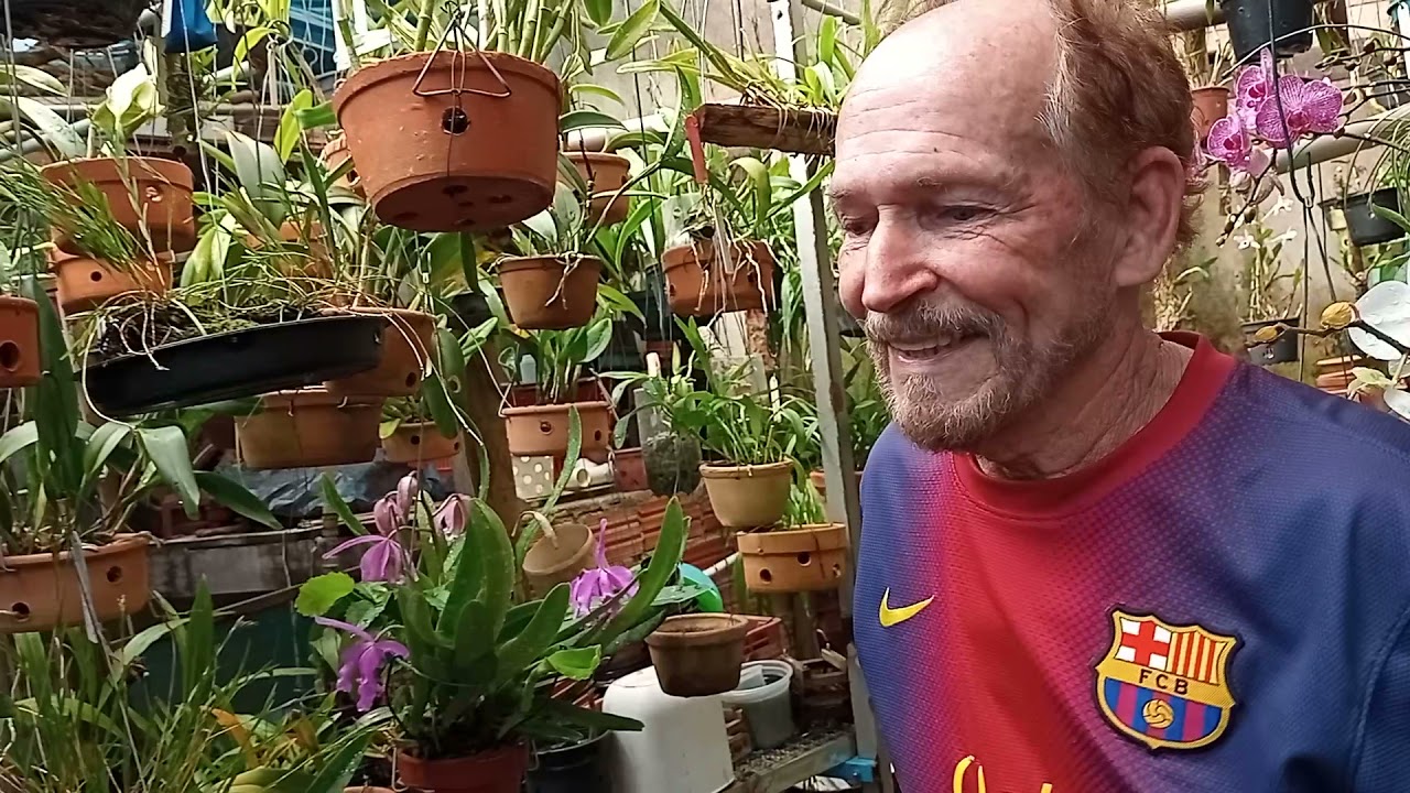 Segunda parte do Orquidário Cantinho das Orquídeas 🥰
