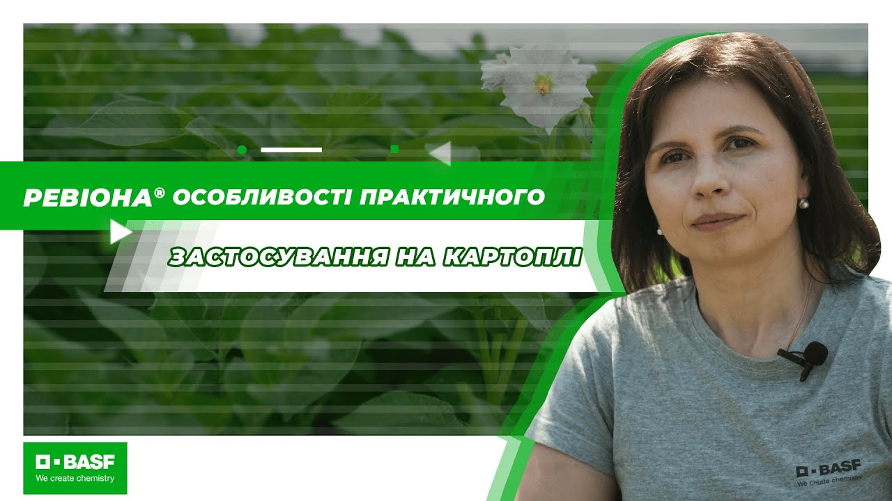 Ревіона® — особливості практичного застосування на картоплі