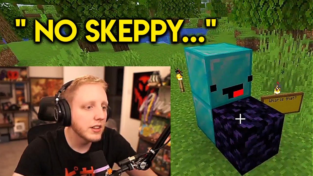 Philza Don't Like Skeppy In The Qsmp