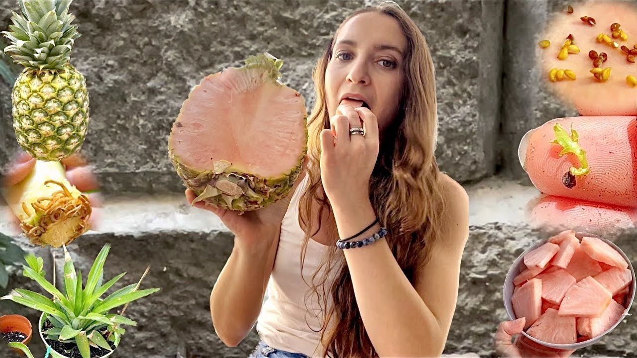 Я это сделал. Я вырастил жёлтый ананас из розовых семян ананаса.