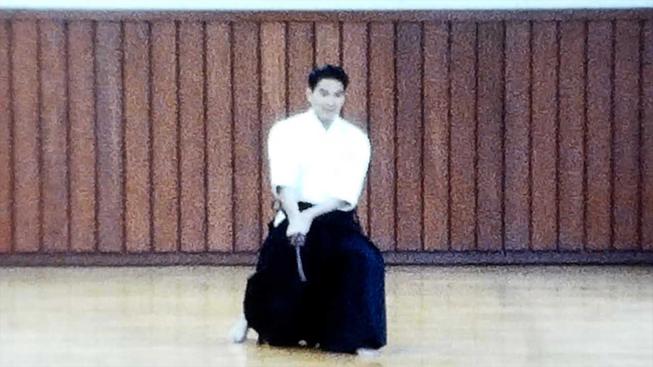 Aikido Toho Iai with Shoji Nishio Shihan