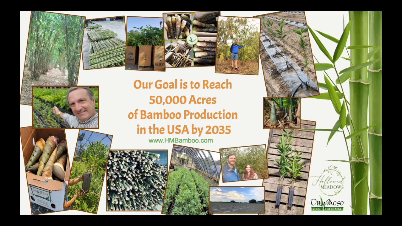 Bamboo Farming Made Easy