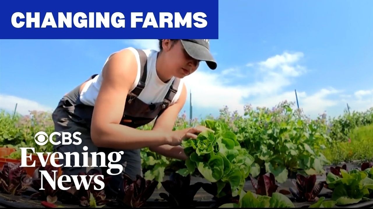Behind the bold ideas reshaping American farms