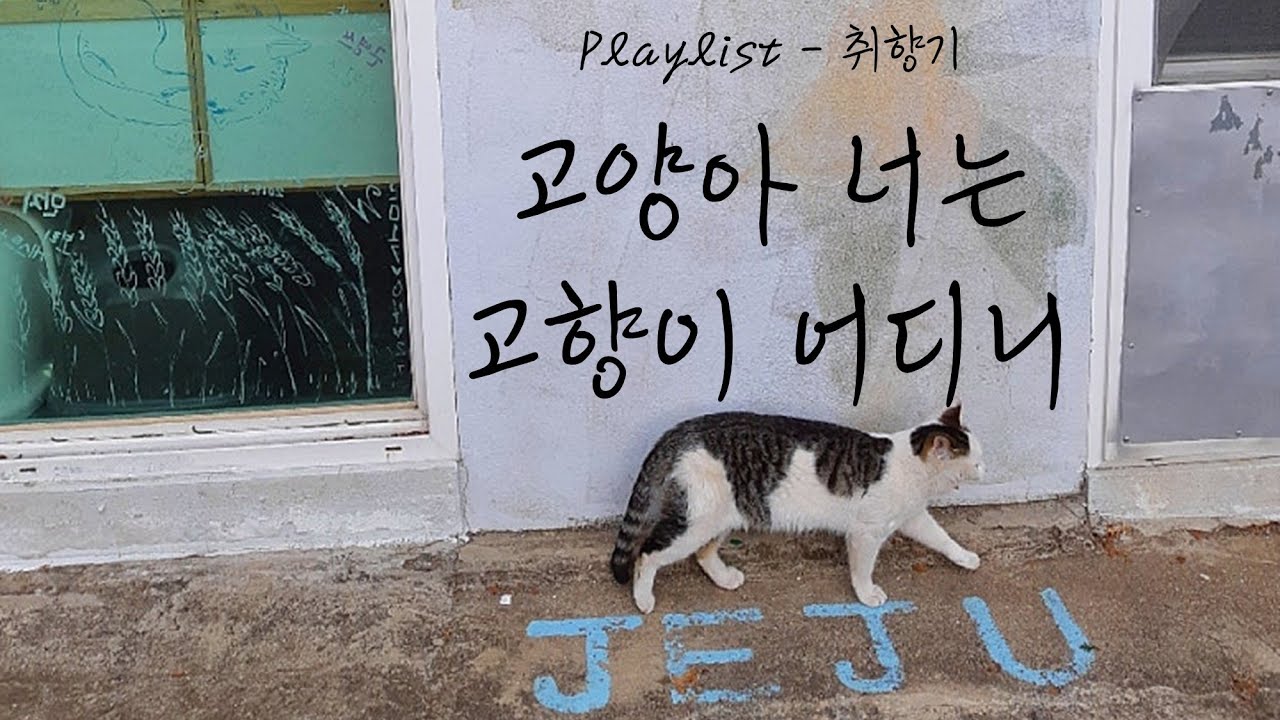 고양아 너는 고향이 어디니