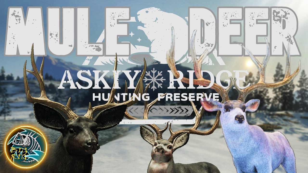 I'M BACK! Let's Get This G1 Mule Deer! TheHunter: Call of the Wild