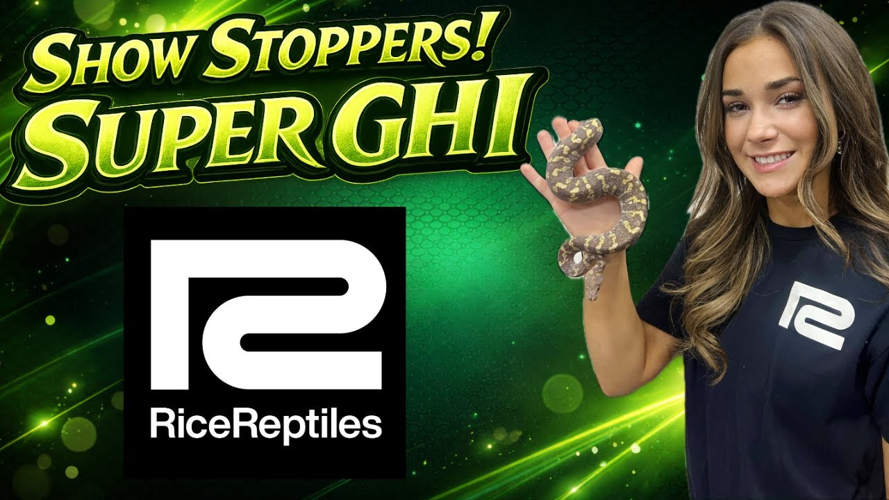 Show Stoppers Super GHI