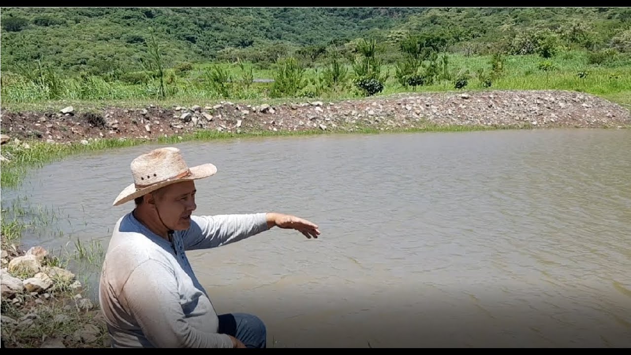 La Mesa de Ixtetal - Cosecha de agua - Tips y requerimientos básicos