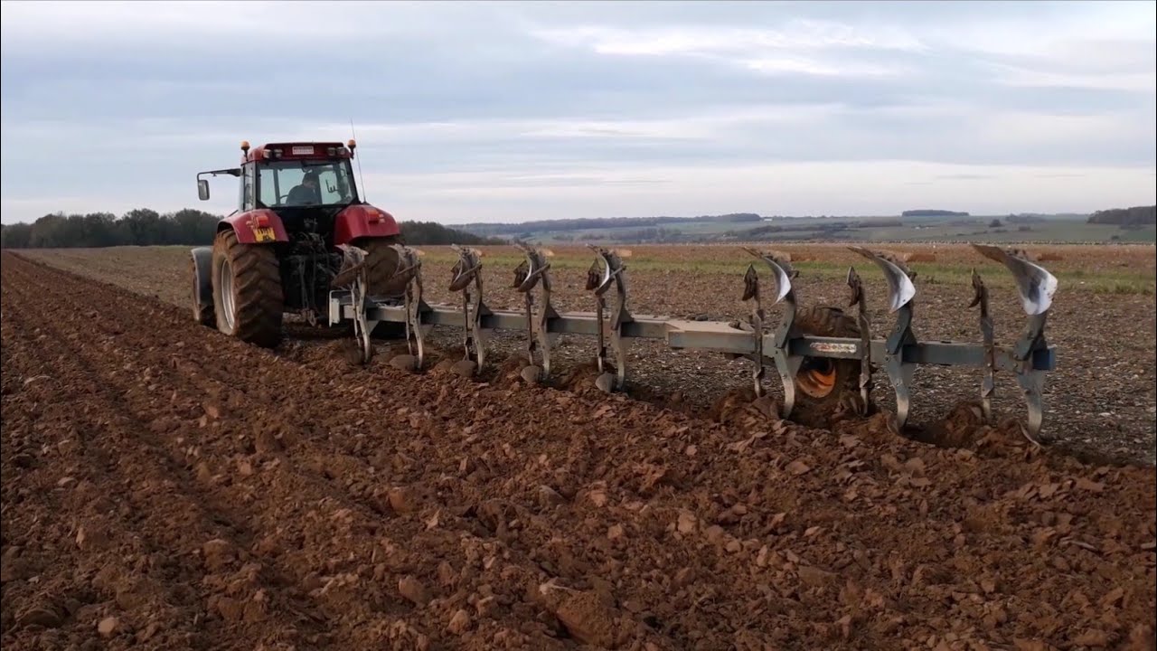 cs 120 labour+semis