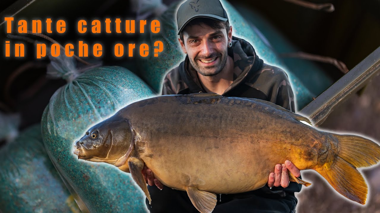 Tante catture in poche ore?  ecco la giusta tecnica | Carp Fishing Italia