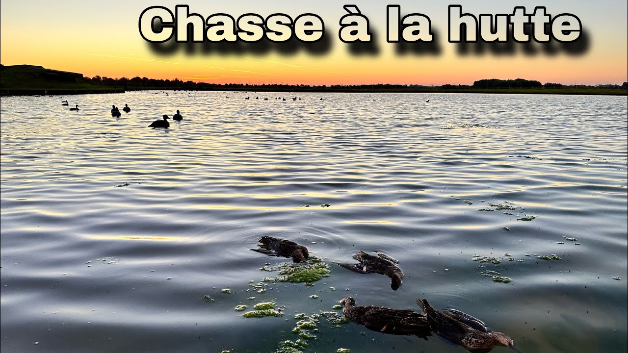 Nuit de hutte au bord de la baie d’authie sud.