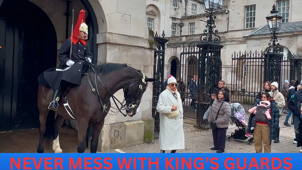 NEVER MESS WITH THIS KING’S GUARD