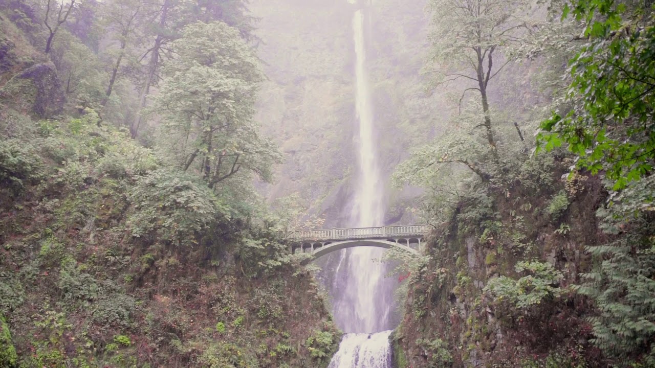 Hotel Vintage | Portland